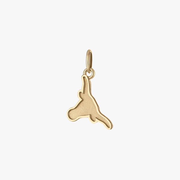 Gold pendant on a white background