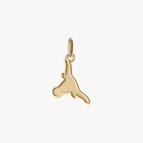 Gold pendant on a white background