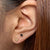 Vanderbilt V Stud Earring