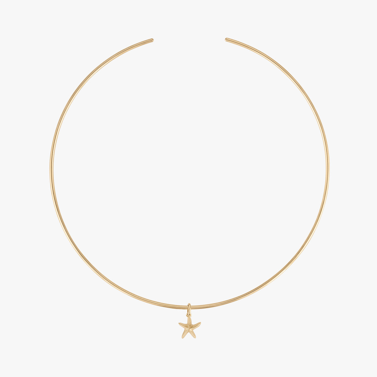 Starfish Charm