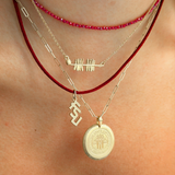 FSU Logo Charm