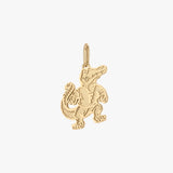 Florida Bull Gator Charm