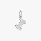 Illinois Logo Charm