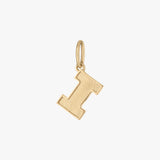 Illinois Logo Charm