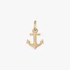 Delta Gamma Anchor Charm