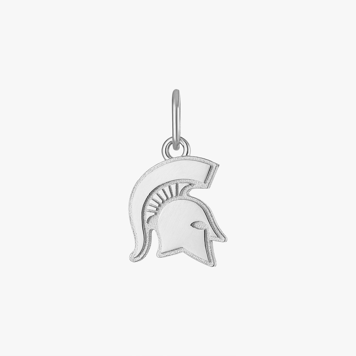 Michigan State Logo Charm