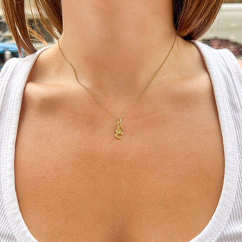 USC SC Charm shown on figure in gold with Cable Chain