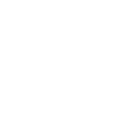 THE TEXAS COLLECTION