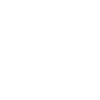 THE CLEMSON COLLECTION