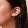 Alpha Omicron Pi Rose Florentine Earring Bundle