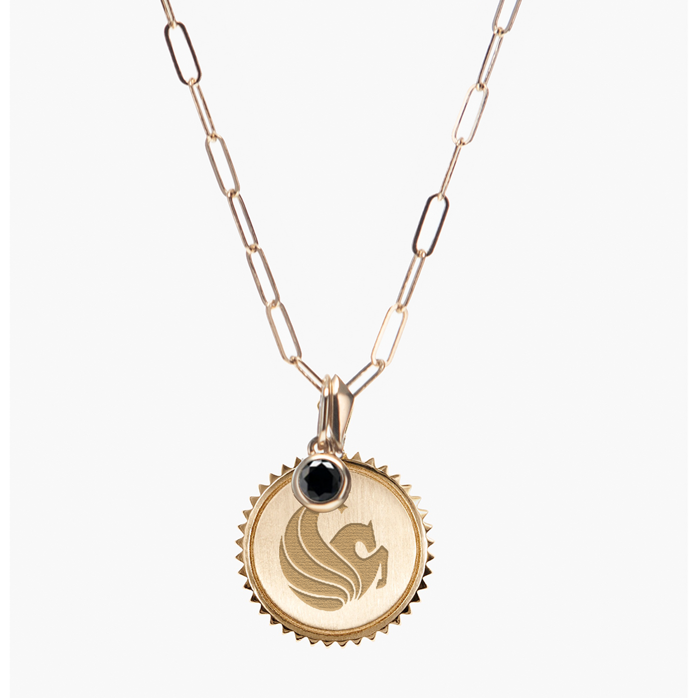 UCF Pegasus Sunburst Bundle