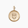 UChicago Sunburst Pendant