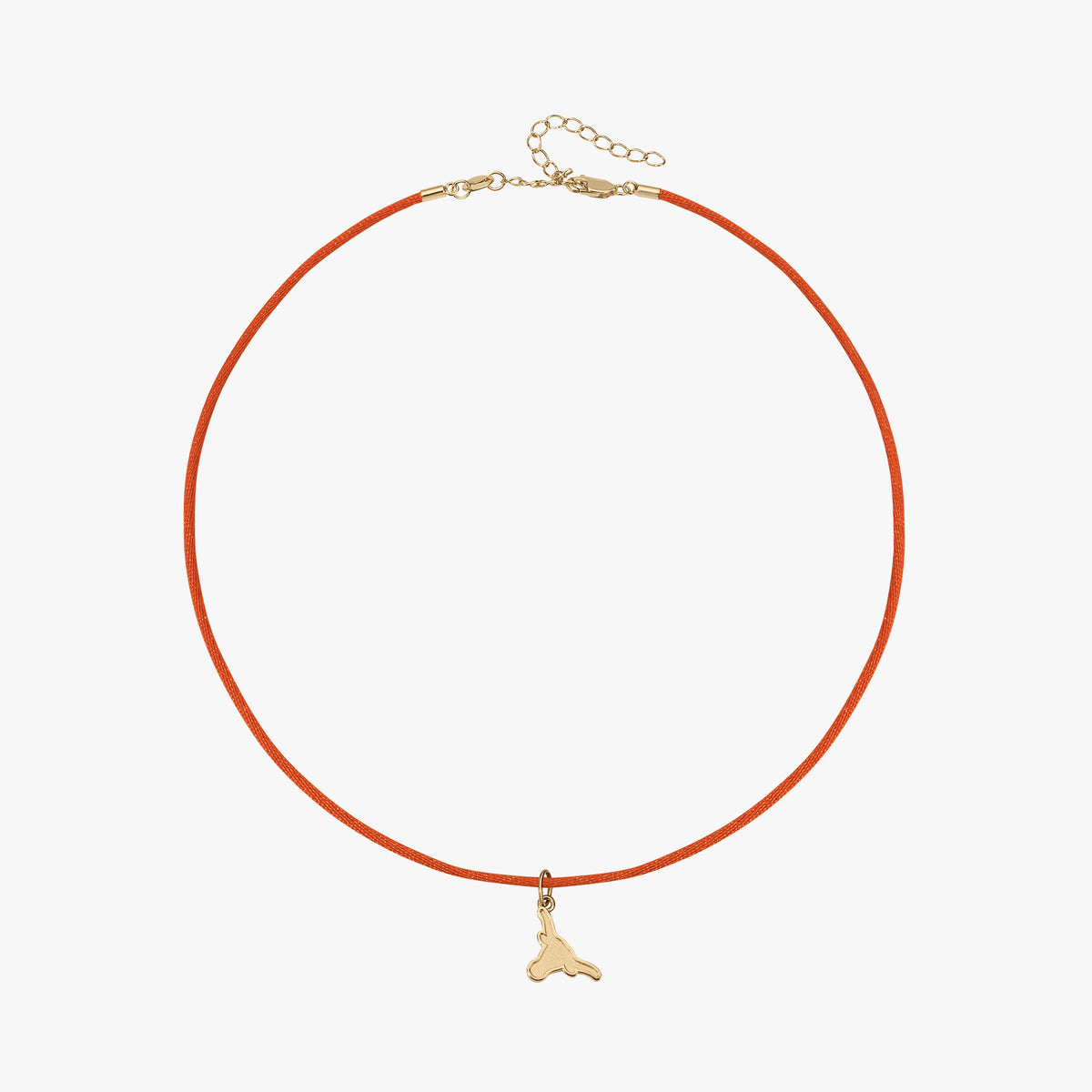 UT Longhorn Charm