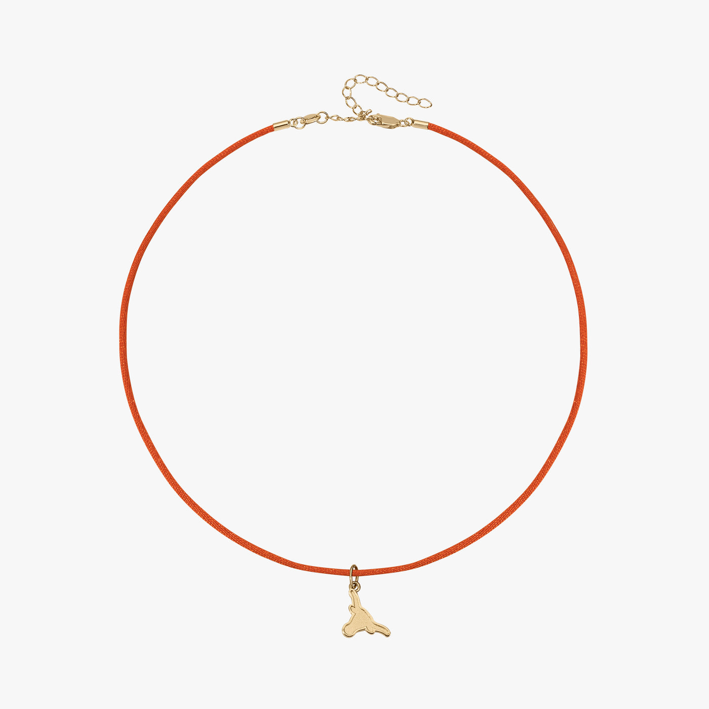 UT Longhorn Charm