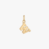 Washington Logo Charm