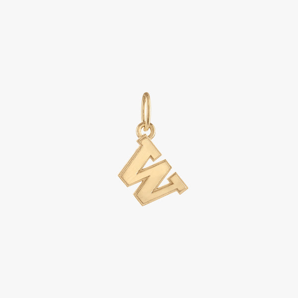 Washington Logo Charm