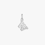 Washington Logo Charm