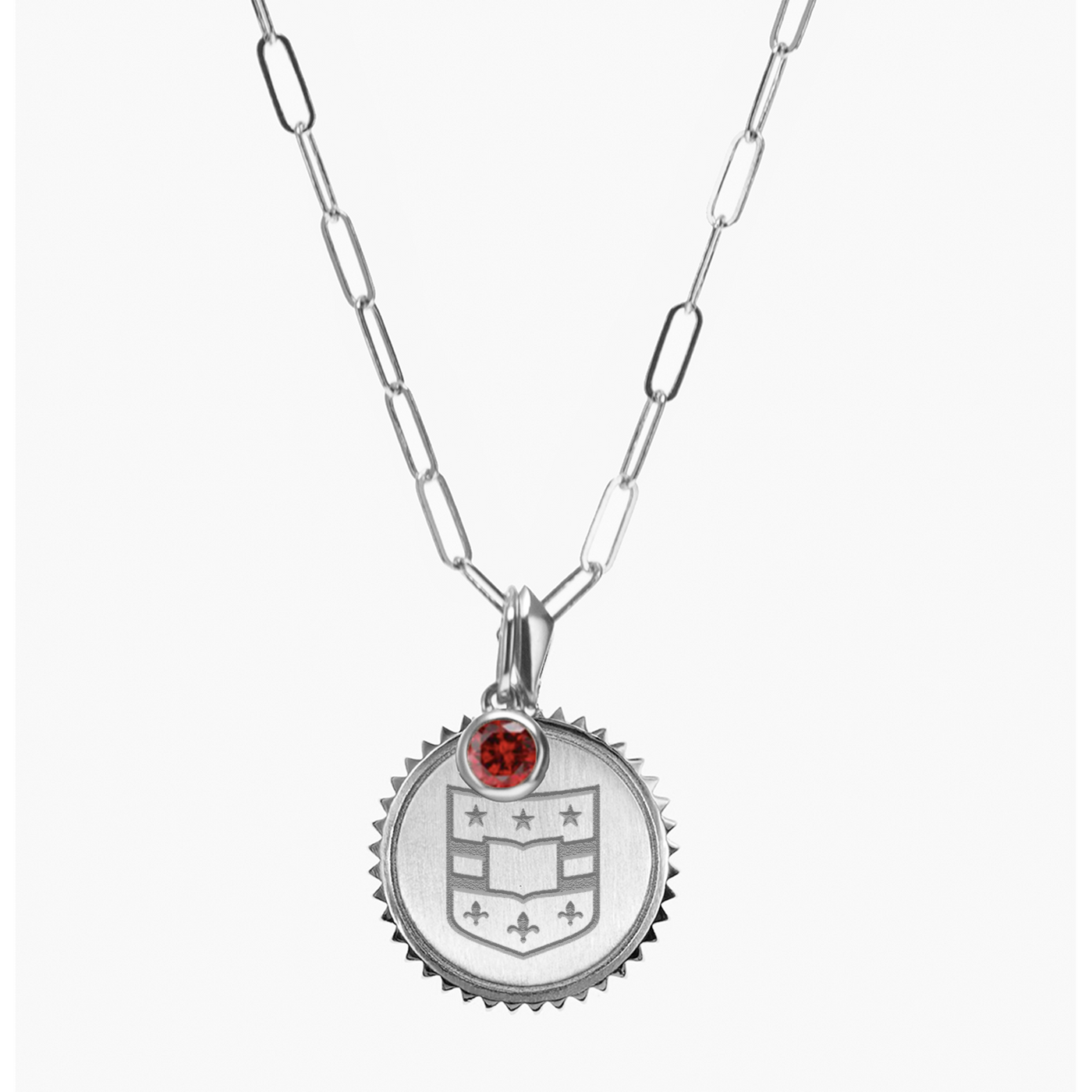 WashU Shield Sunburst Bundle