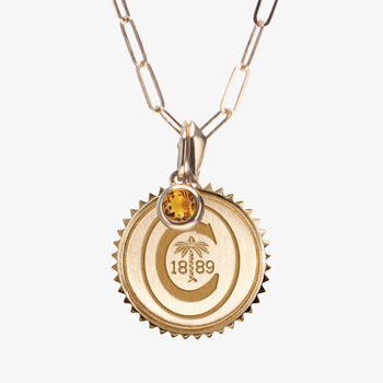 Clemson Sunburst Bundle