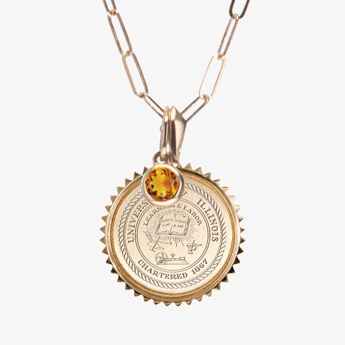 Illinois Sunburst Bundle