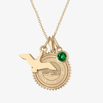 Oregon Flying Duck Charm Sunburst Bundle