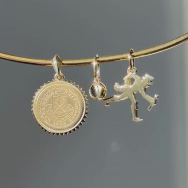 Wake Forest Seal Sunburst Pendant with Black Onyx Gemstone Charm and Walking Deacon Charm on Neck Collar in gold