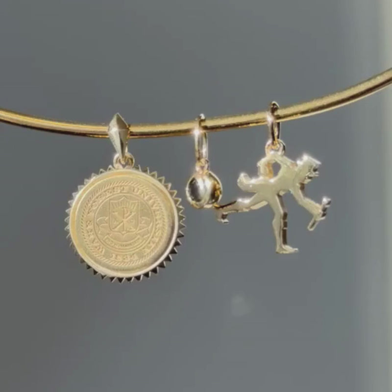 Wake Forest Seal Sunburst Pendant with Black Onyx Gemstone Charm and Walking Deacon Charm on Neck Collar in gold