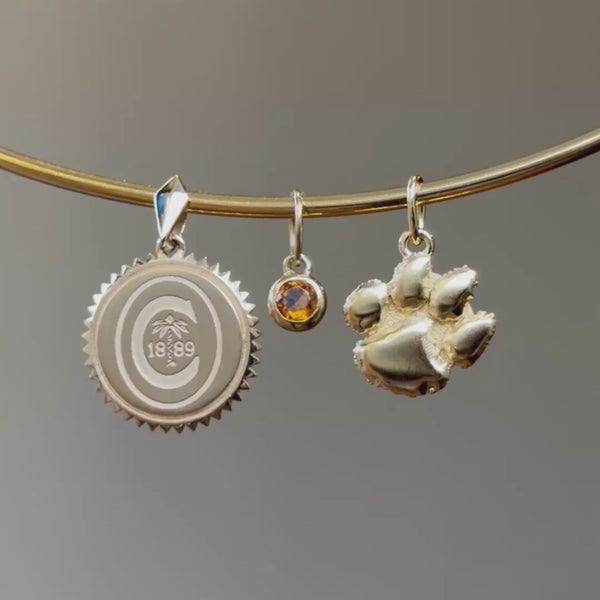 Clemson Sunburst Pendant, Citrine Gemstone Charm , Clemson Paw Charm in gold on Neck Collar