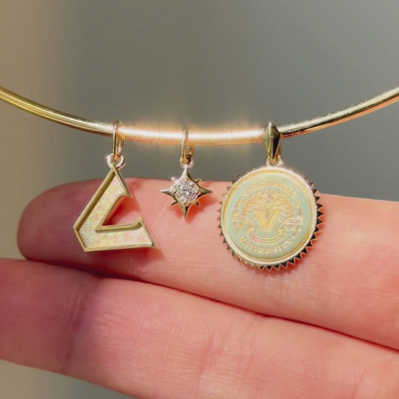 Vanderbilt Logo Charm shown on Neck Collar with North Star Charm and Vanderbilt Sunburst Pendant in gold