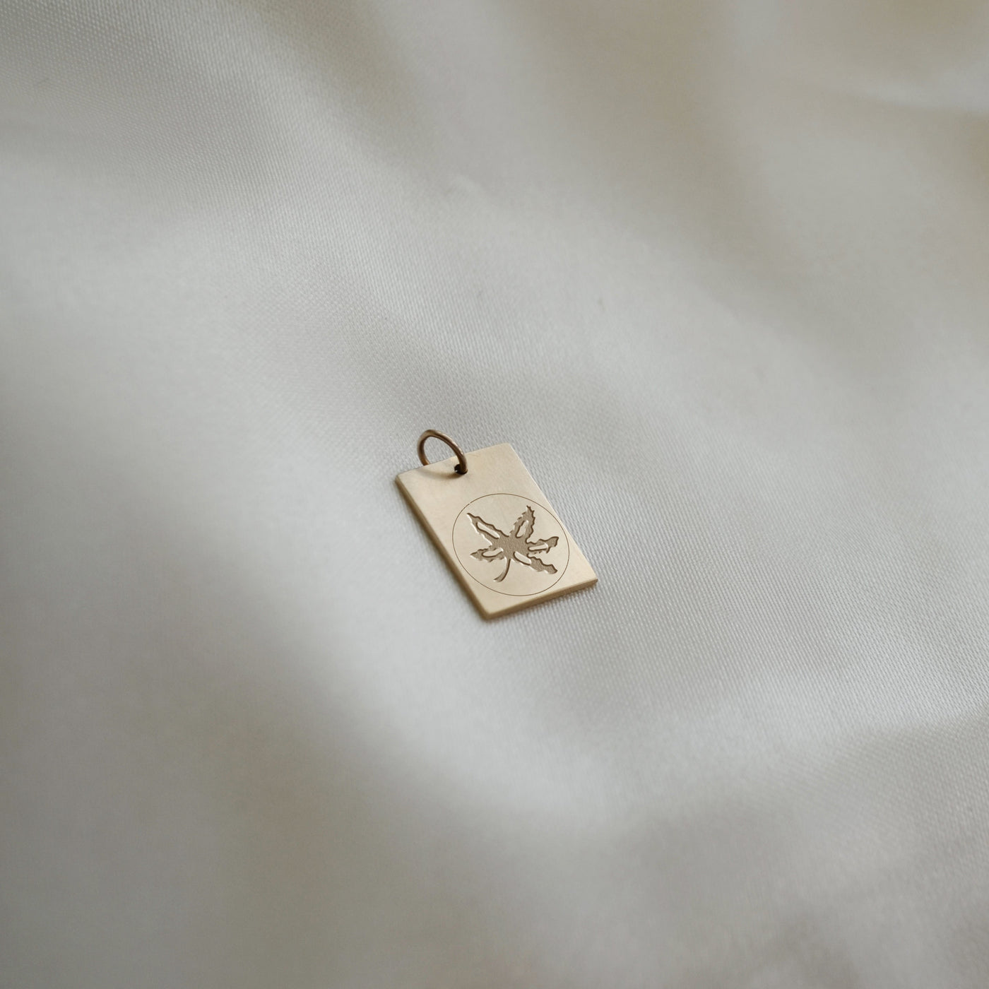 Ohio State Limited Edition 2024 Championship Buckeye Pendant letdown shown in gold