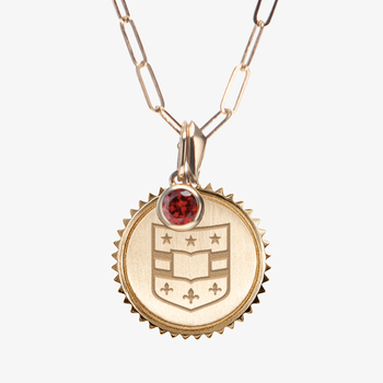 WashU Shield Sunburst Bundle