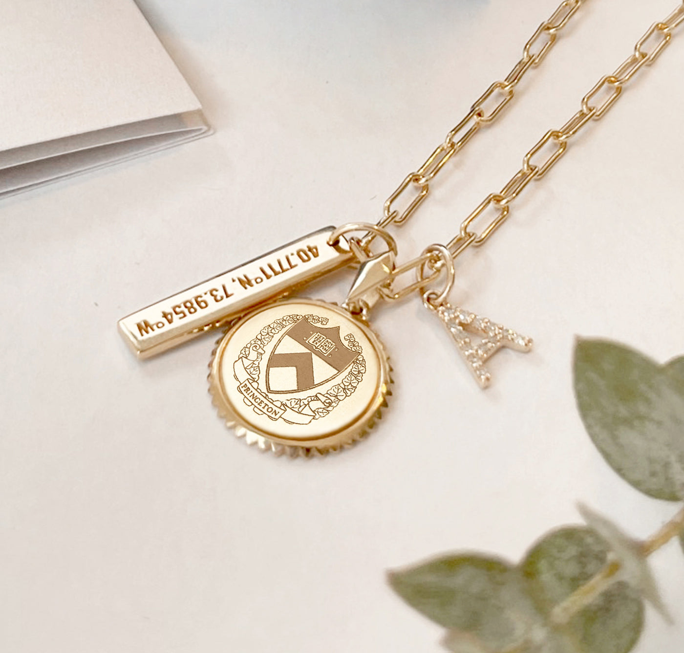 Princeton Coordinates Bar